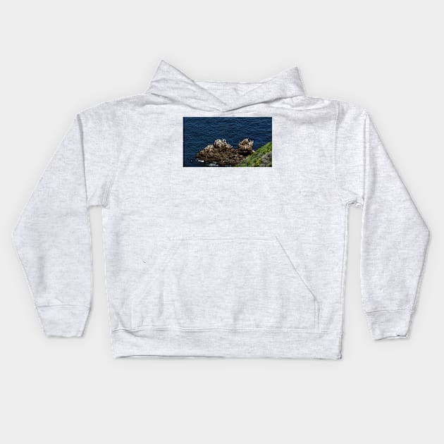 Channel Islands National Park Santa Cruz Island Kids Hoodie by supernova23